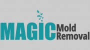 Magic Mold Removal