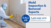 Mold Testing & Inspection Denver